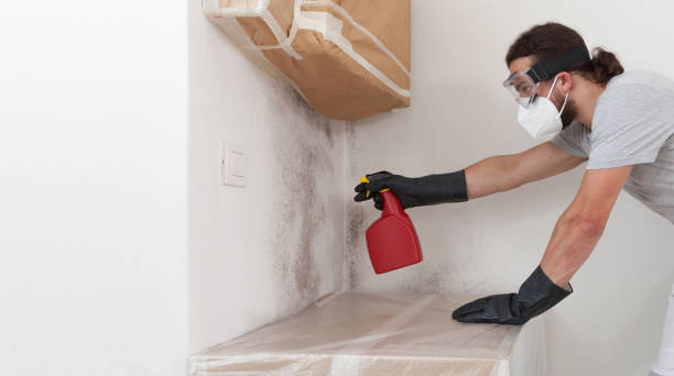 Professional Mold Removal technician working in Leisuretowne, NJ